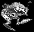 FarDarrig.JPG (4816 byte)