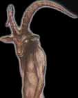 Pooka01.JPG (2713 byte)